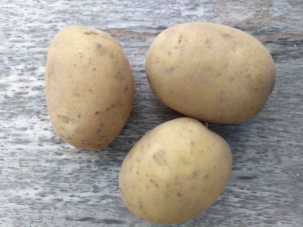 Картофель "Мастак"