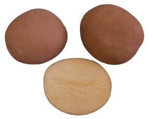 Картофель "Водар"