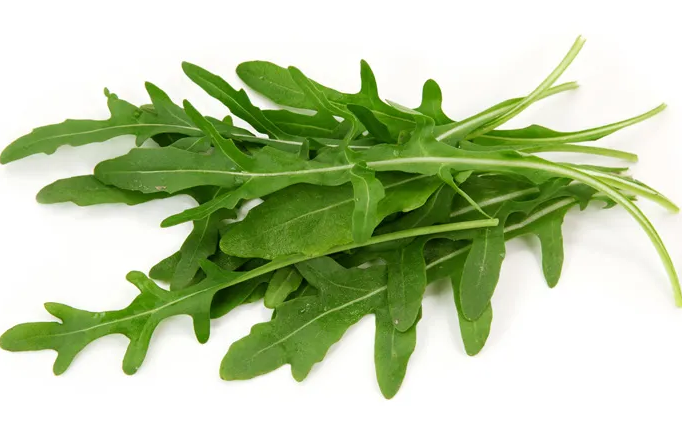 Руккола дикая