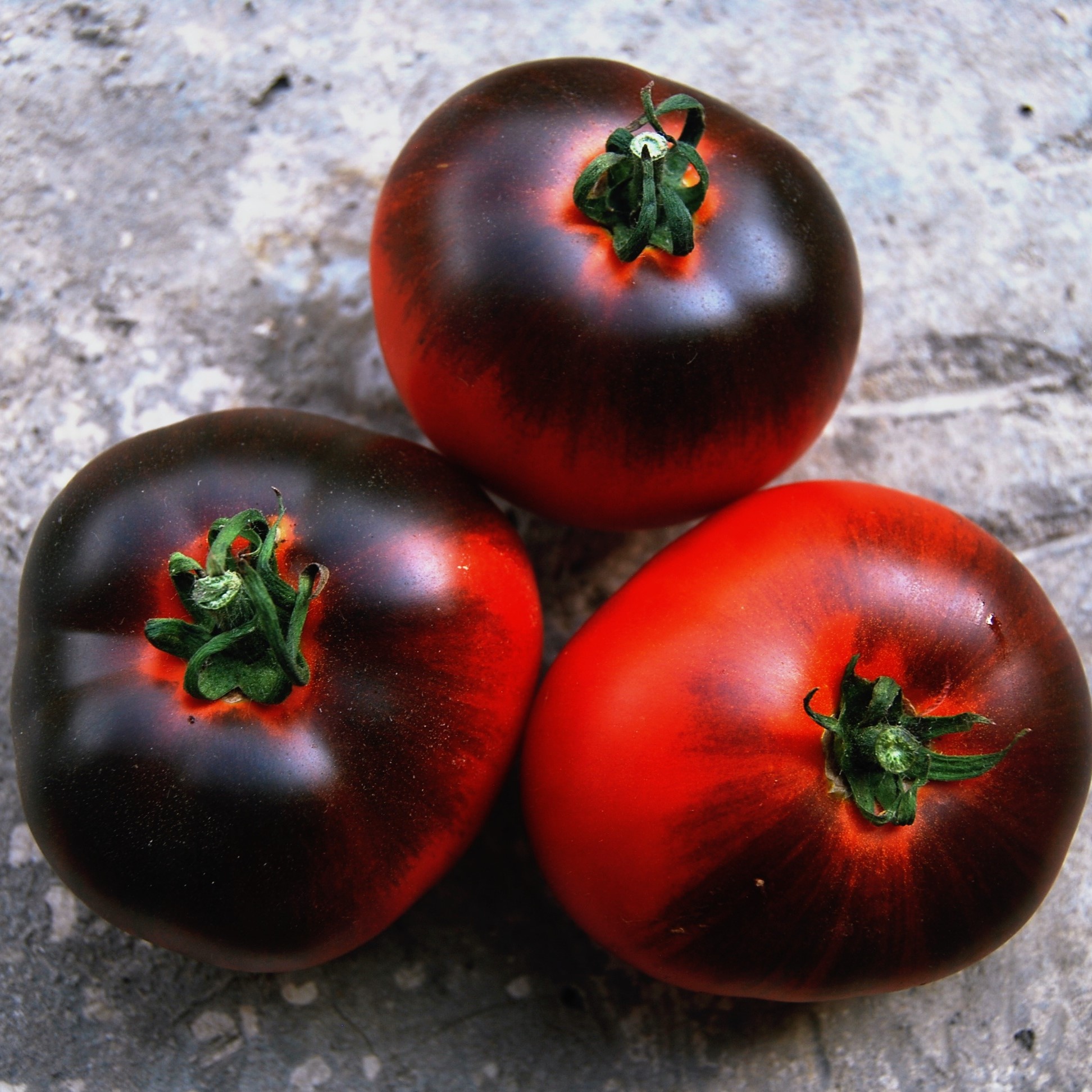 Куплю семена черных томатов