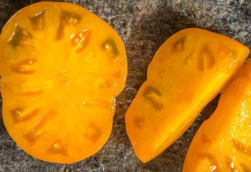 Томат Blazing beauty dwarf (Пылающая красота) — изображение 3