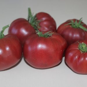 Томат Борония (Boronia)