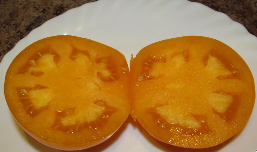 Томат Медово-Сахарный — изображение 2