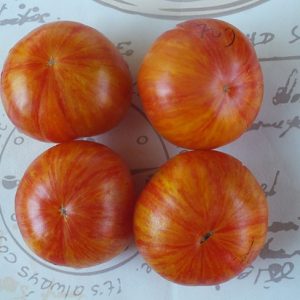 Томат Дельта Дивер Жёлтый (Dwarf Delta Diver yellow)