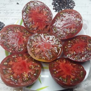 Томат Фиолетовая Империя (Purple Reign Dwarf)