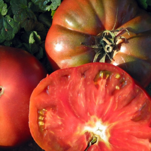 Томат Темная роза (Dark Rose)