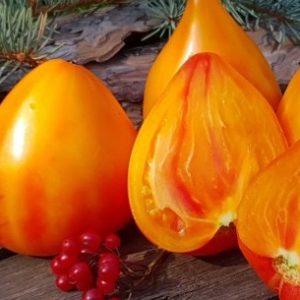 Томат Сердце Дездемоны (Desdemona’s Heart)