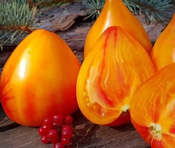 Томат Сердце Дездемоны (Desdemona’s Heart)