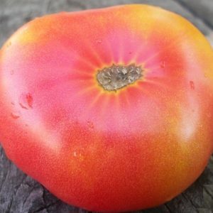 Томат Старое пламя (Old Flame)