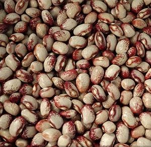 Фасоль зерновая Seneca Cornstalk