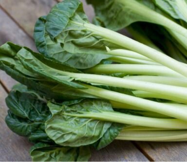 Салат Комацуна – листовая репа