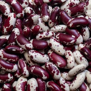 Фасоль зерновая Jacob's Cattle (Коровье стадо Иакова)