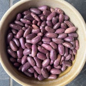 Фасоль зерновая Пурпурная звёздная пыль (Purple Stardust)