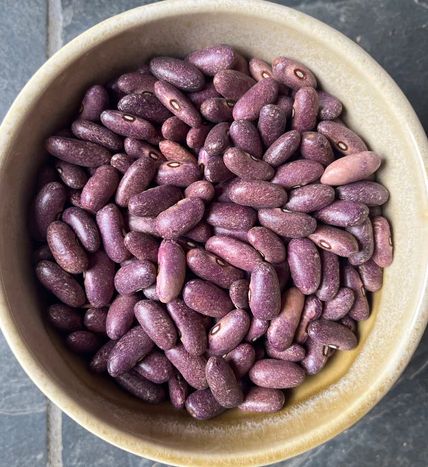 Фасоль зерновая Пурпурная звёздная пыль (Purple Stardust)