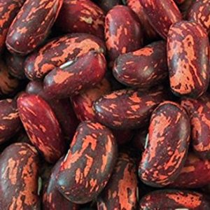 Фасоль зерновая Prince (Принц)