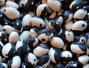 Фасоль зерновая Orca (Косатка)