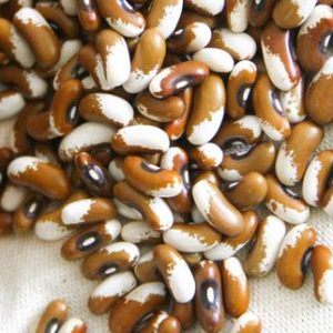 Фасоль Painted Pony (Расписной Пони)