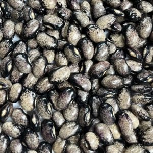 Фасоль зерновая Black Nightfall (Чёрный сумрак)