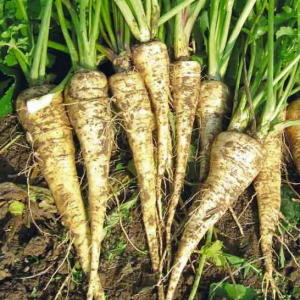 Пастернак "Помяна"