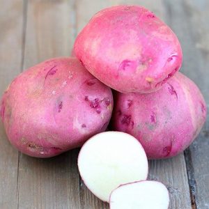 Картофель Шарвари Пирошка (ботанические семена)