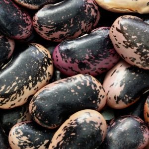 Фасоль Scarlet Runner